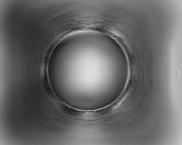 X0000088371161200706051036