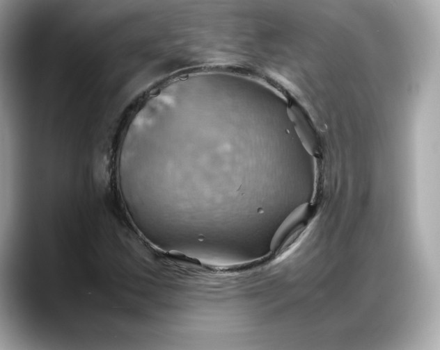 X0000088371163200706051036