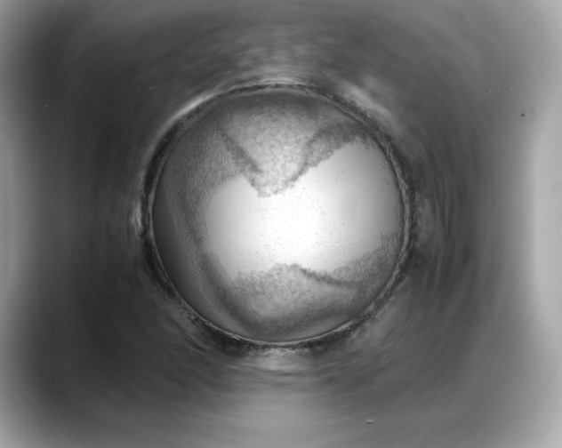 X0000088371166200706051036