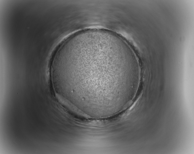 X0000088371167200706051036