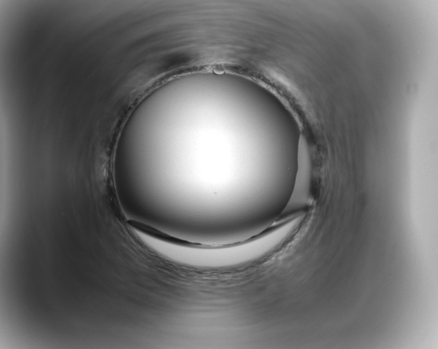 X0000088371169200706051036