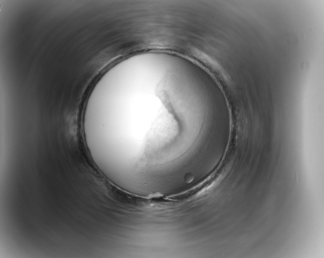 X0000088371170200706051036