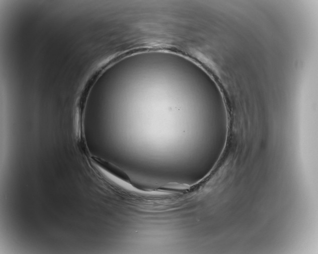X0000088371171200706051036