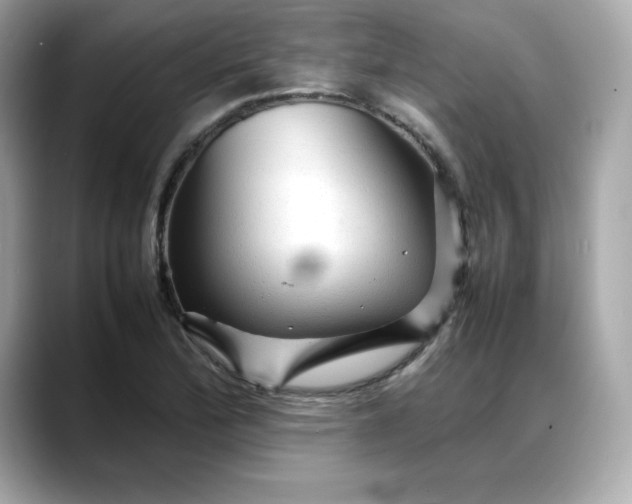 X0000088371172200706051036