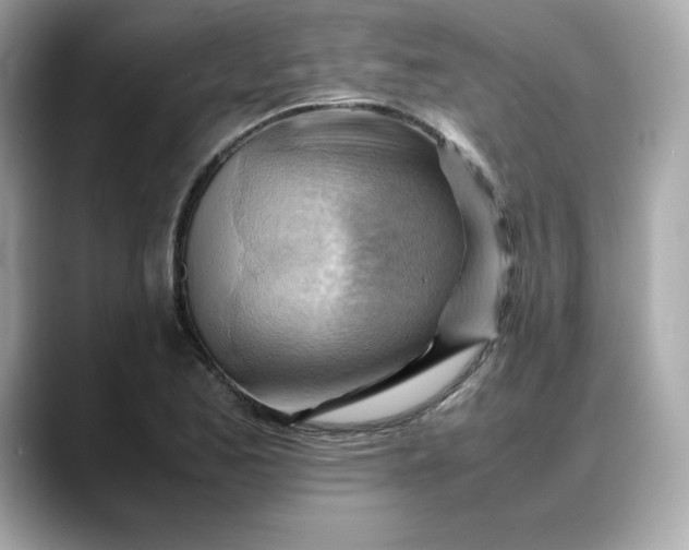 X0000088371173200706051036