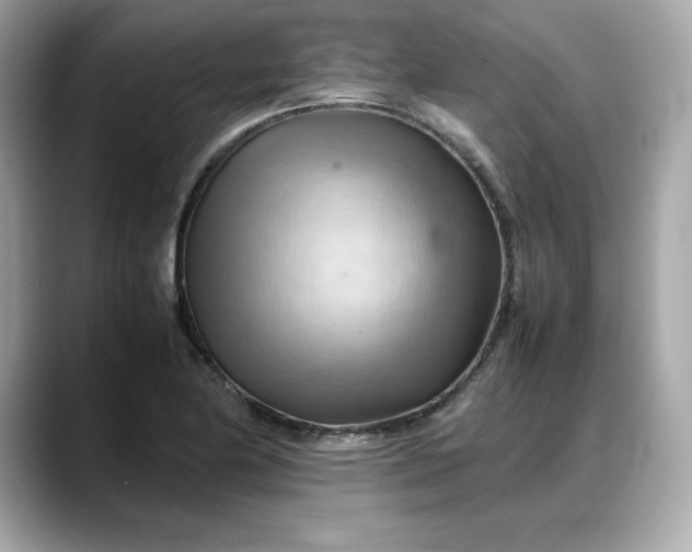 X0000088371174200706051036
