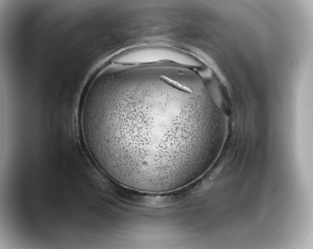X0000088371176200706051036