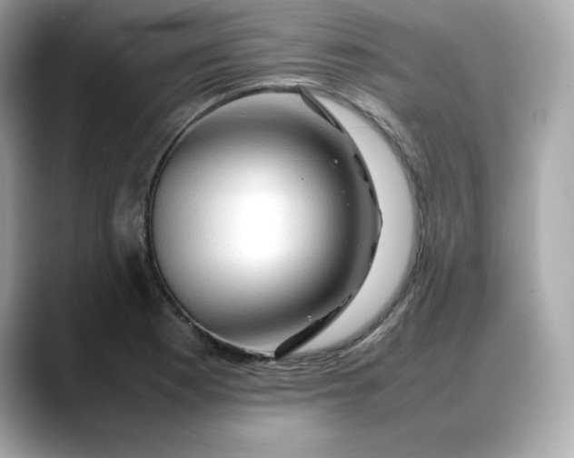 X0000088371177200706051036