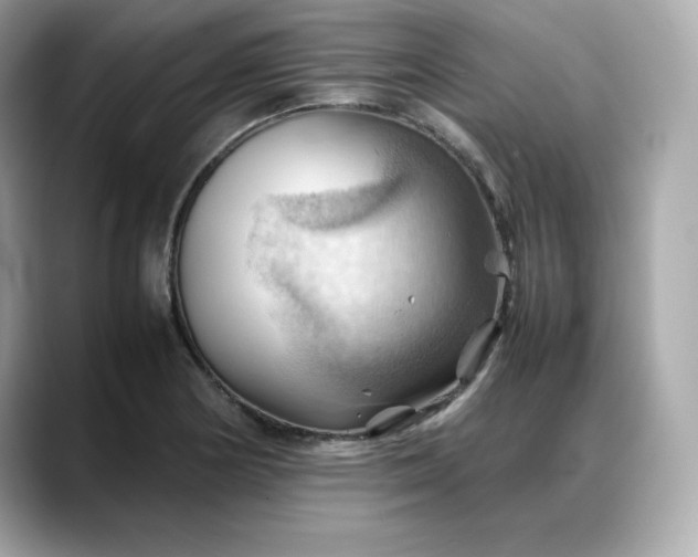 X0000088371178200706051036