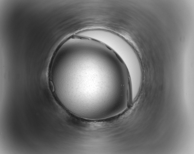 X0000088371181200706051036