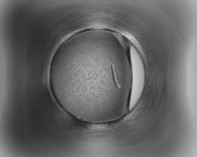 X0000088371183200706051036