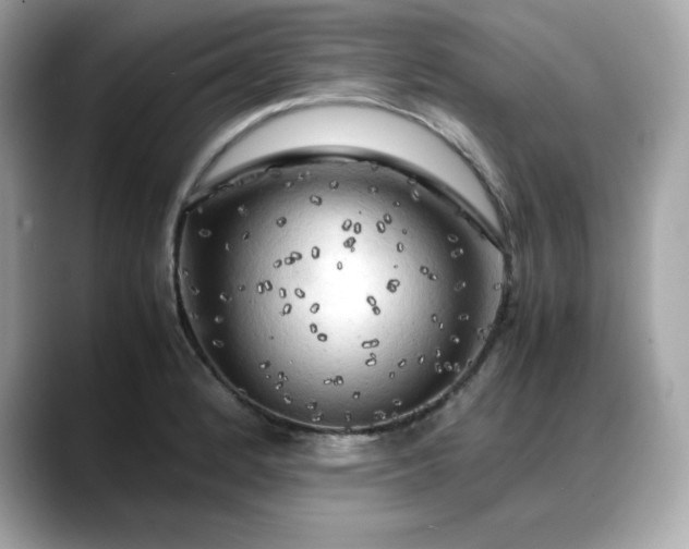 X0000088371184200706051036