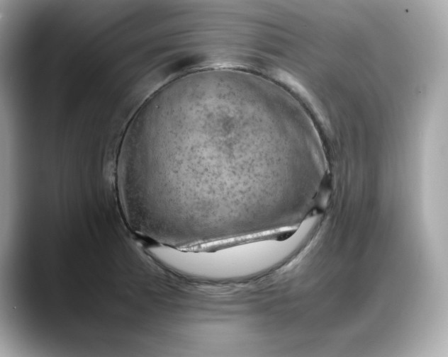 X0000088371185200706051036