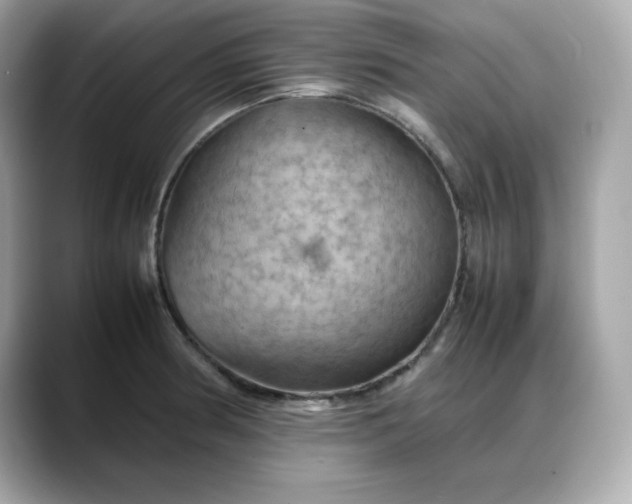 X0000088371186200706051036