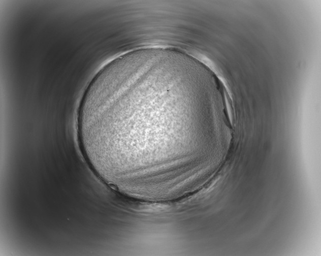 X0000088371187200706051036