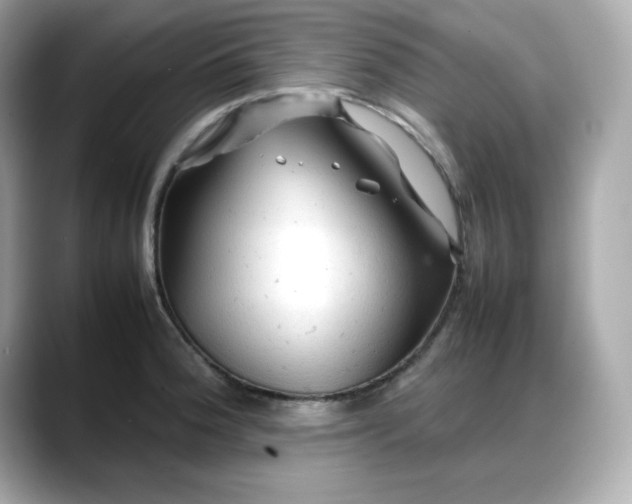 X0000088371188200706051036