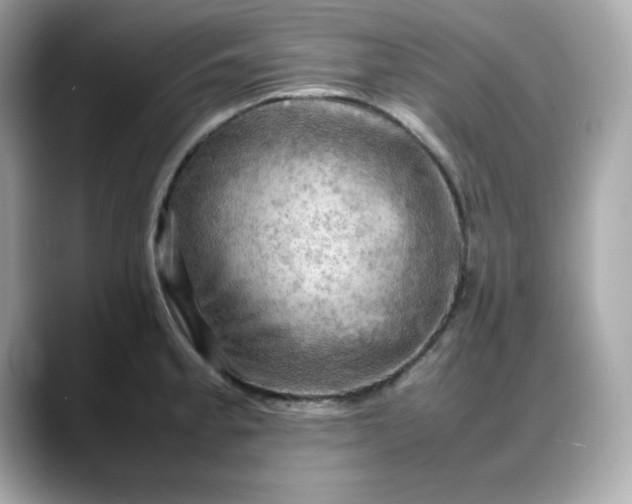 X0000088371189200706051036