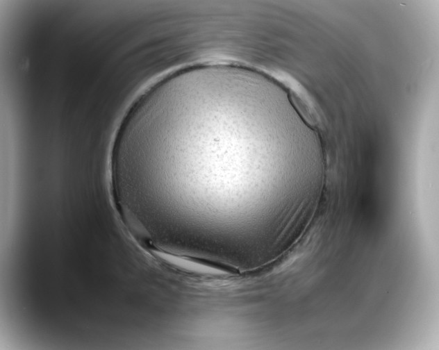 X0000088371191200706051036