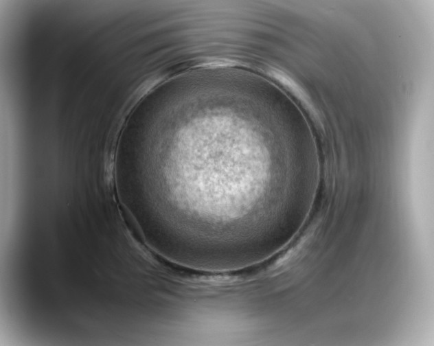 X0000088371193200706051036