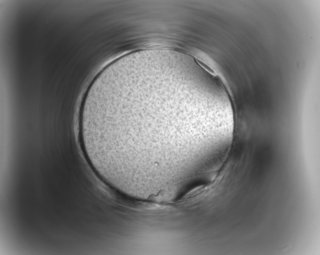 X0000088371195200706051036