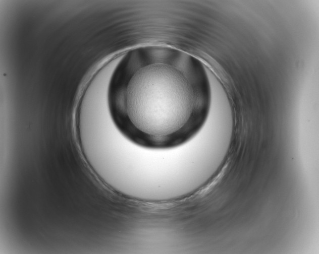X0000088371196200706051036