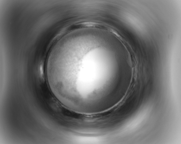 X0000088371198200706051036