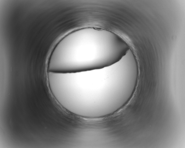X0000088371200200706051036