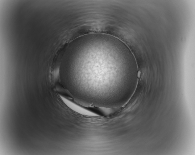 X0000088371202200706051035