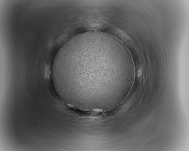 X0000088371204200706051035
