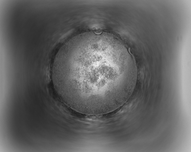 X0000088371205200706051035