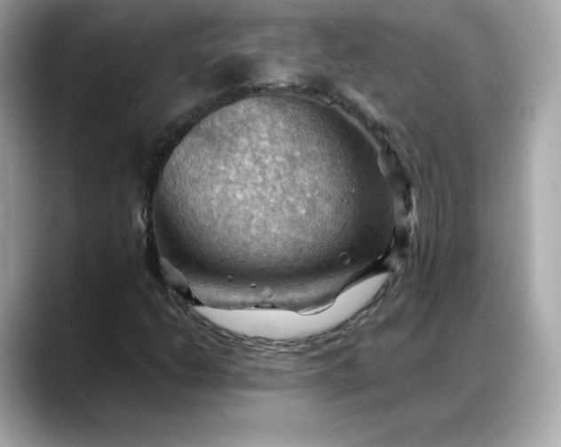 X0000088371206200706051035