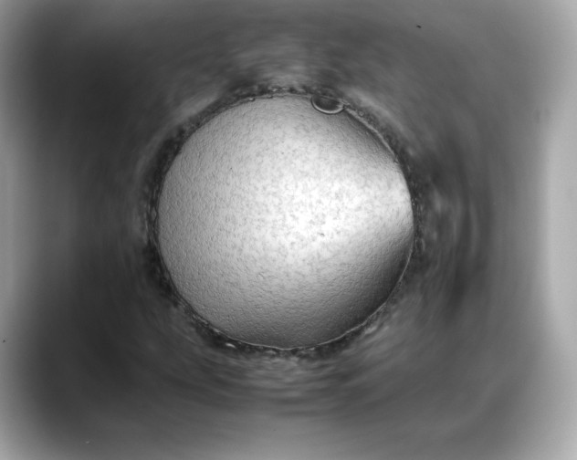 X0000088371207200706051035