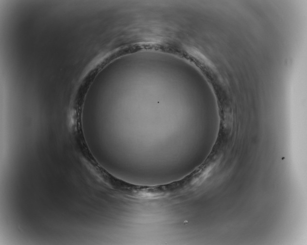 X0000088371208200706051035