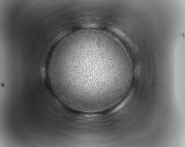 X0000088371209200706051035