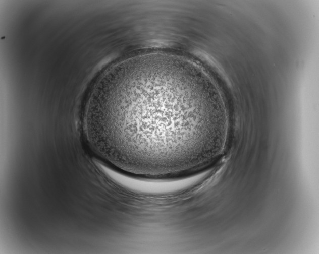 X0000088371210200706051035