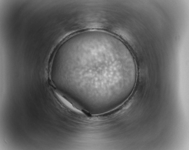 X0000088371212200706051035