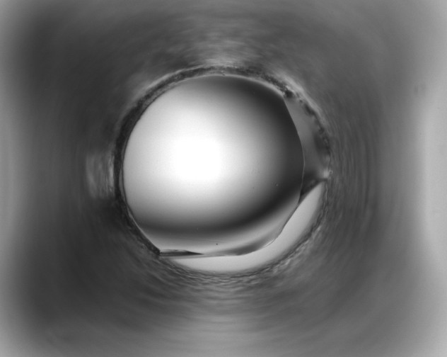 X0000088371214200706051035