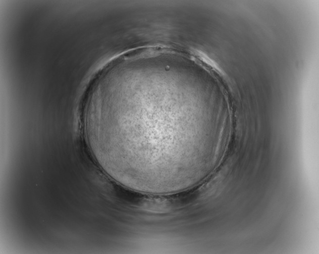 X0000088371215200706051035