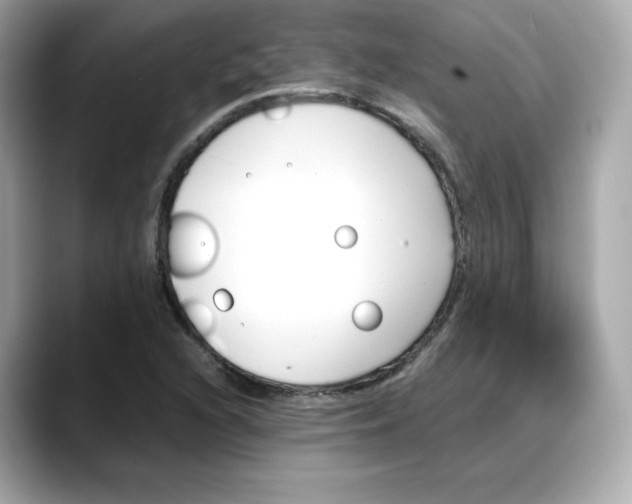 X0000088371216200706051035