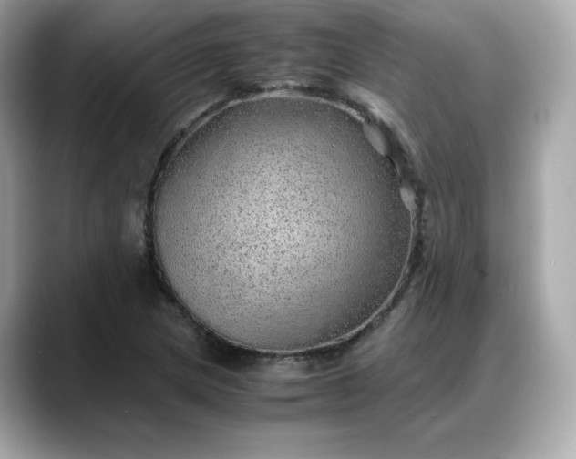X0000088371217200706051035
