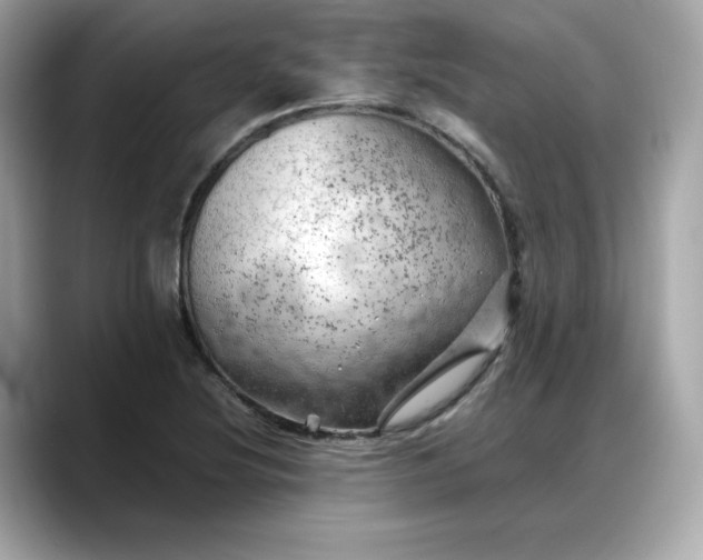 X0000088371220200706051035