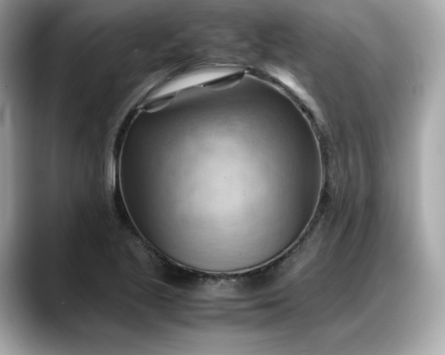 X0000088371221200706051035