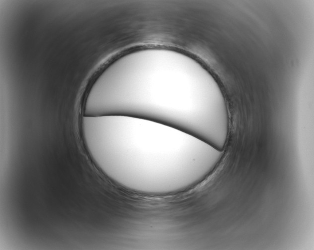 X0000088371224200706051035