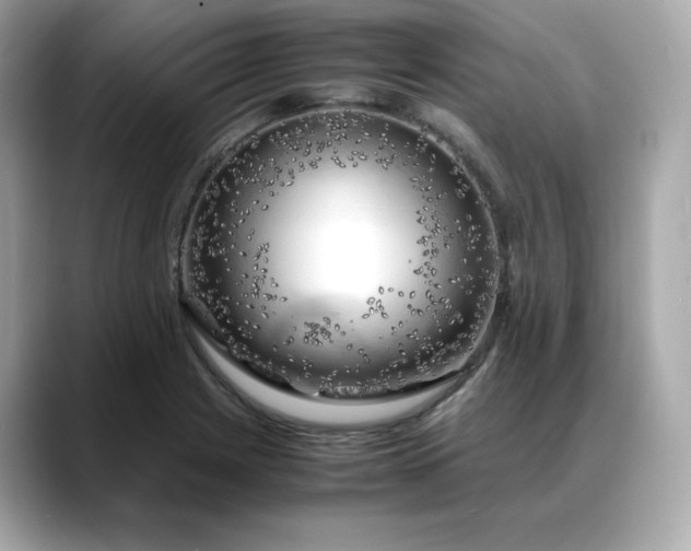 X0000088371225200706051035