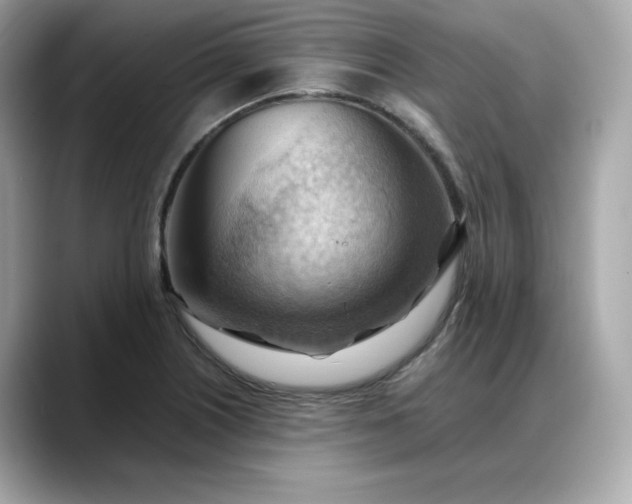 X0000088371226200706051035
