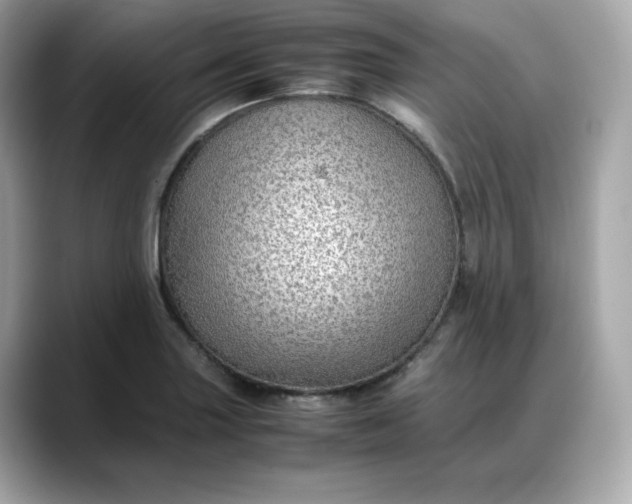 X0000088371227200706051035