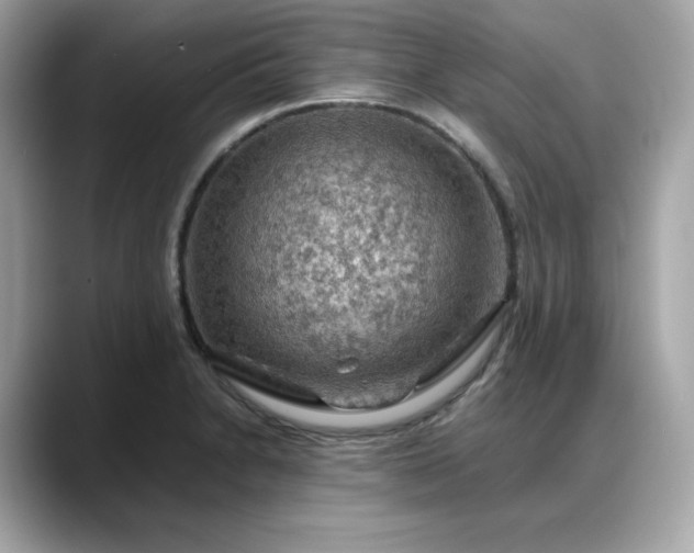 X0000088371230200706051035