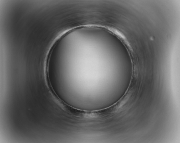 X0000088371231200706051035