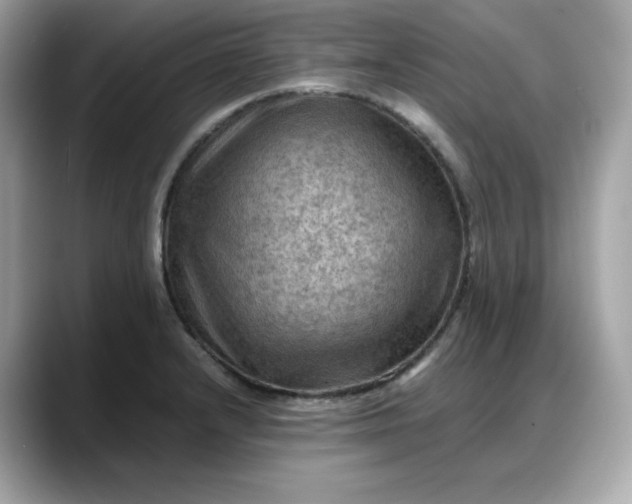 X0000088371232200706051035