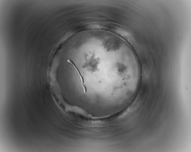 X0000088371233200706051035